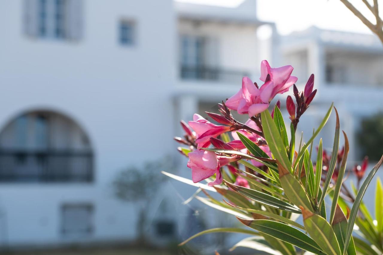Sea Lilies Suites Pláka Eksteriør billede